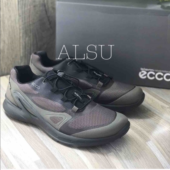 ecco mens biom omniquest gtx